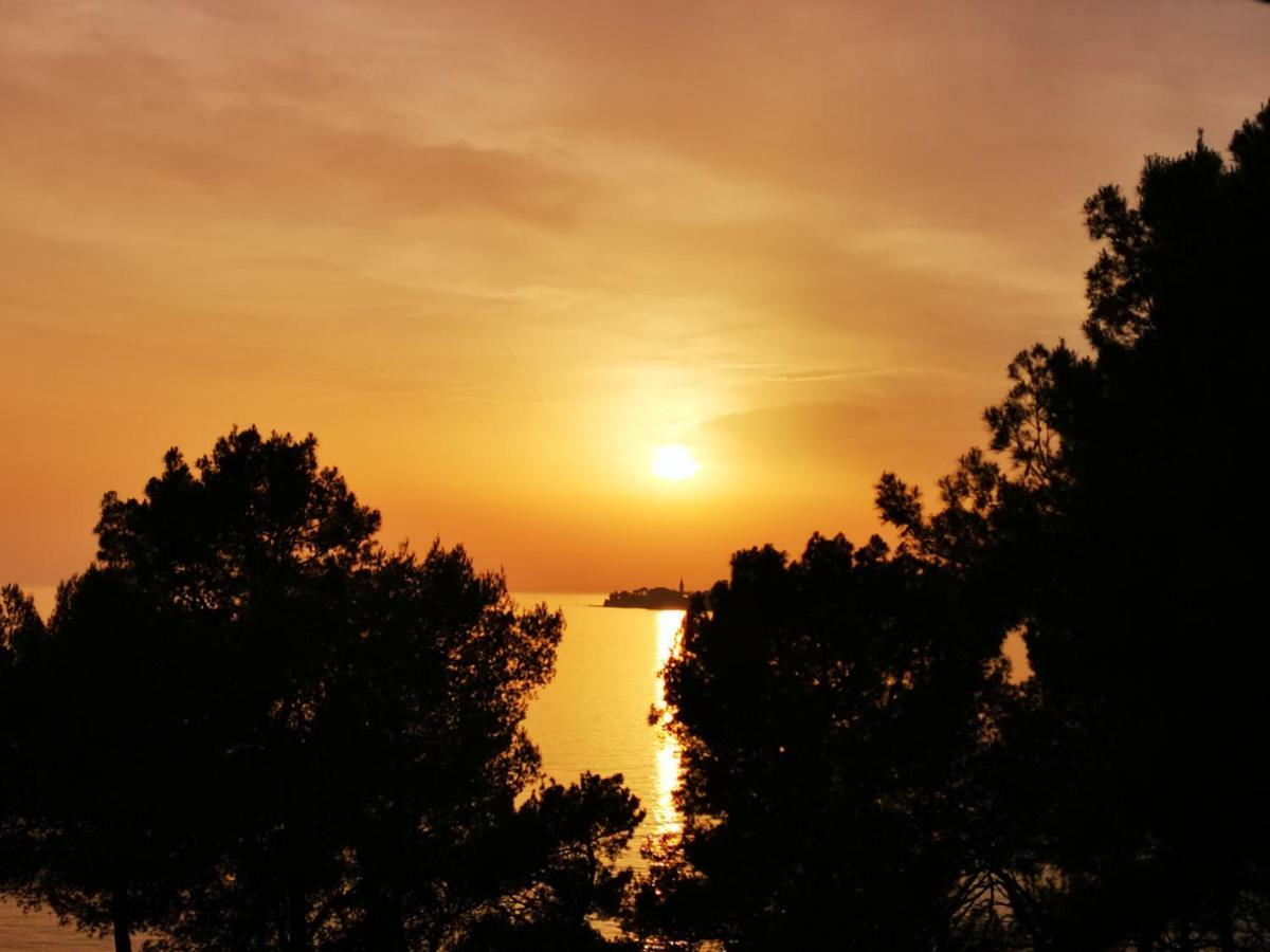 West Coast Mobilhome With Xxl Terrace Tar-Vabriga Εξωτερικό φωτογραφία